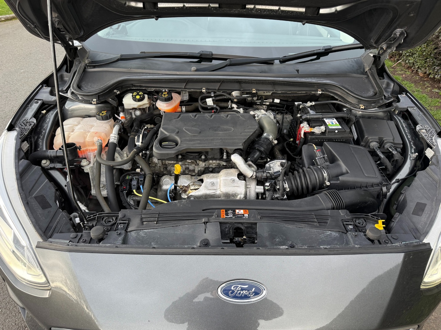 Used Ford Focus 2019 for sale - 77704340: Photo 57