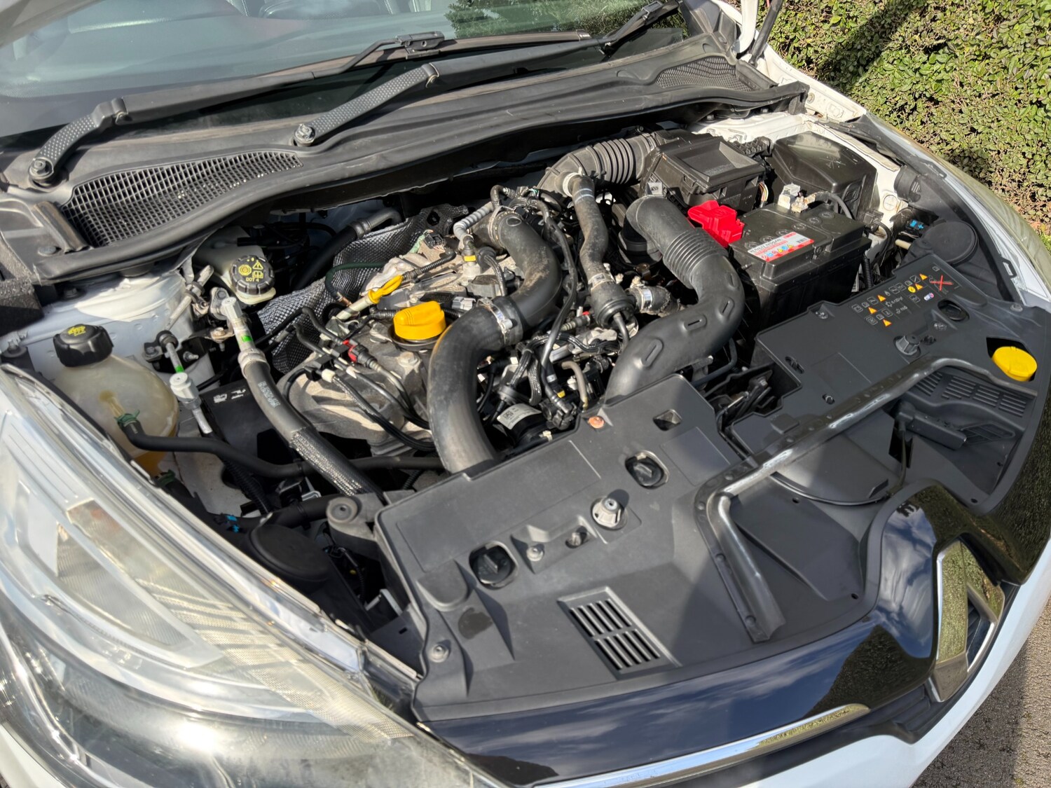 Used Renault Clio 2017 for sale - 77532158: Photo 53