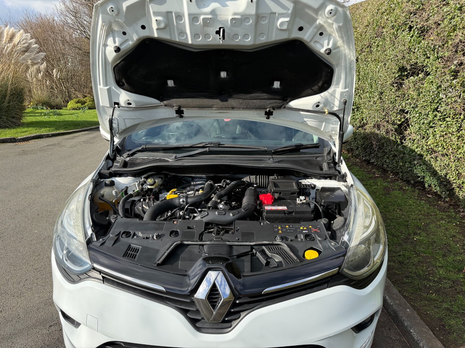 Used Renault Clio 2017 for sale - 77532158: Photo 56