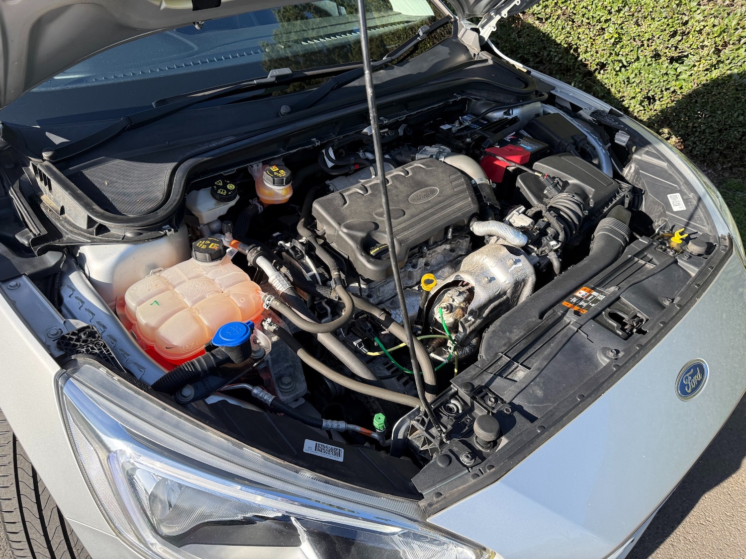 Used Ford Focus 2019 for sale - 77730949: Photo 59