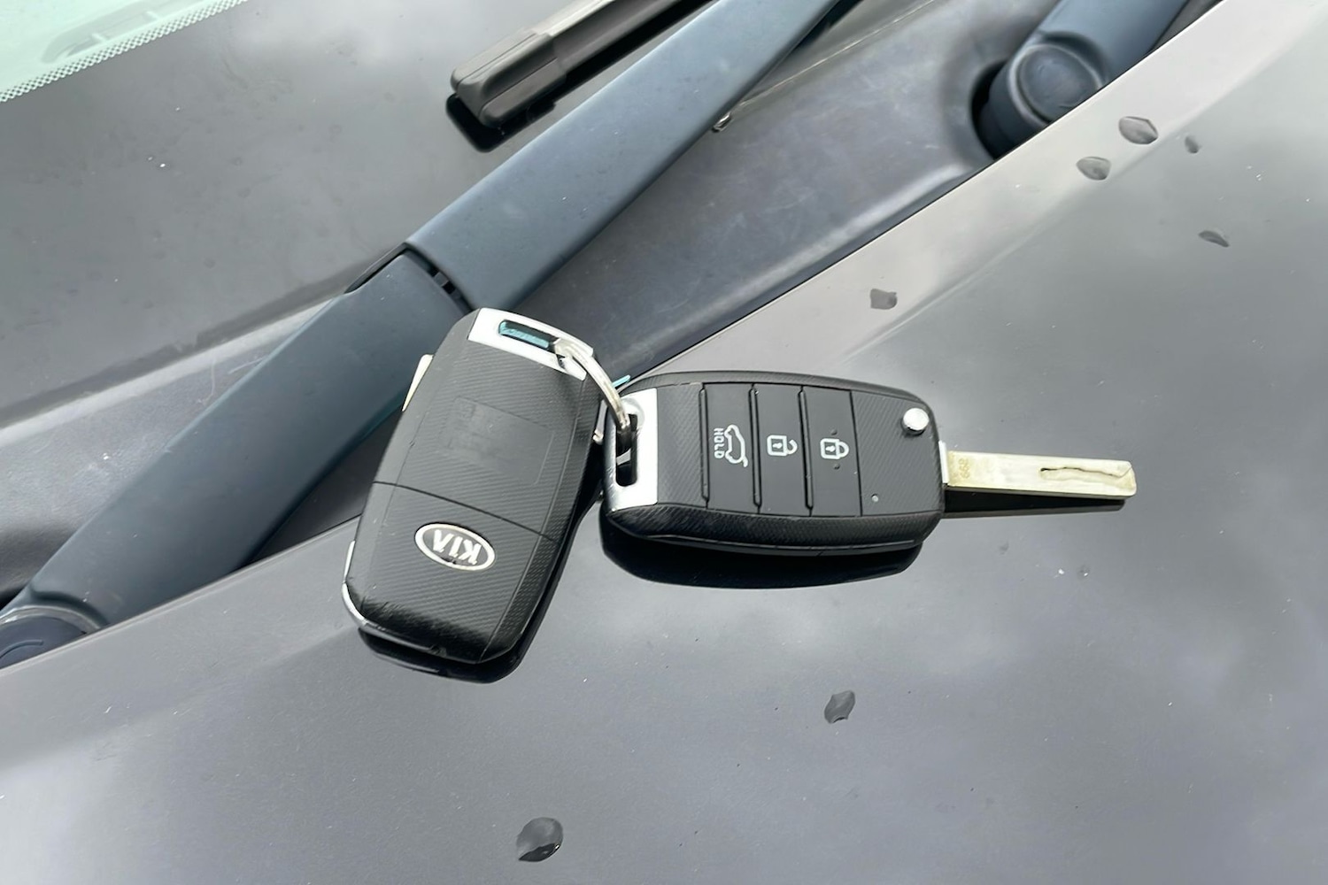 Used Kia Picanto 2019 for sale - 77822049: Photo 26