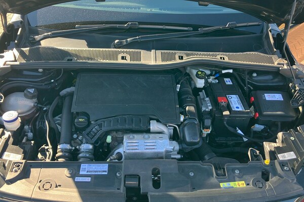 Used Vauxhall Corsa 2023 for sale - 76096505: Photo 43