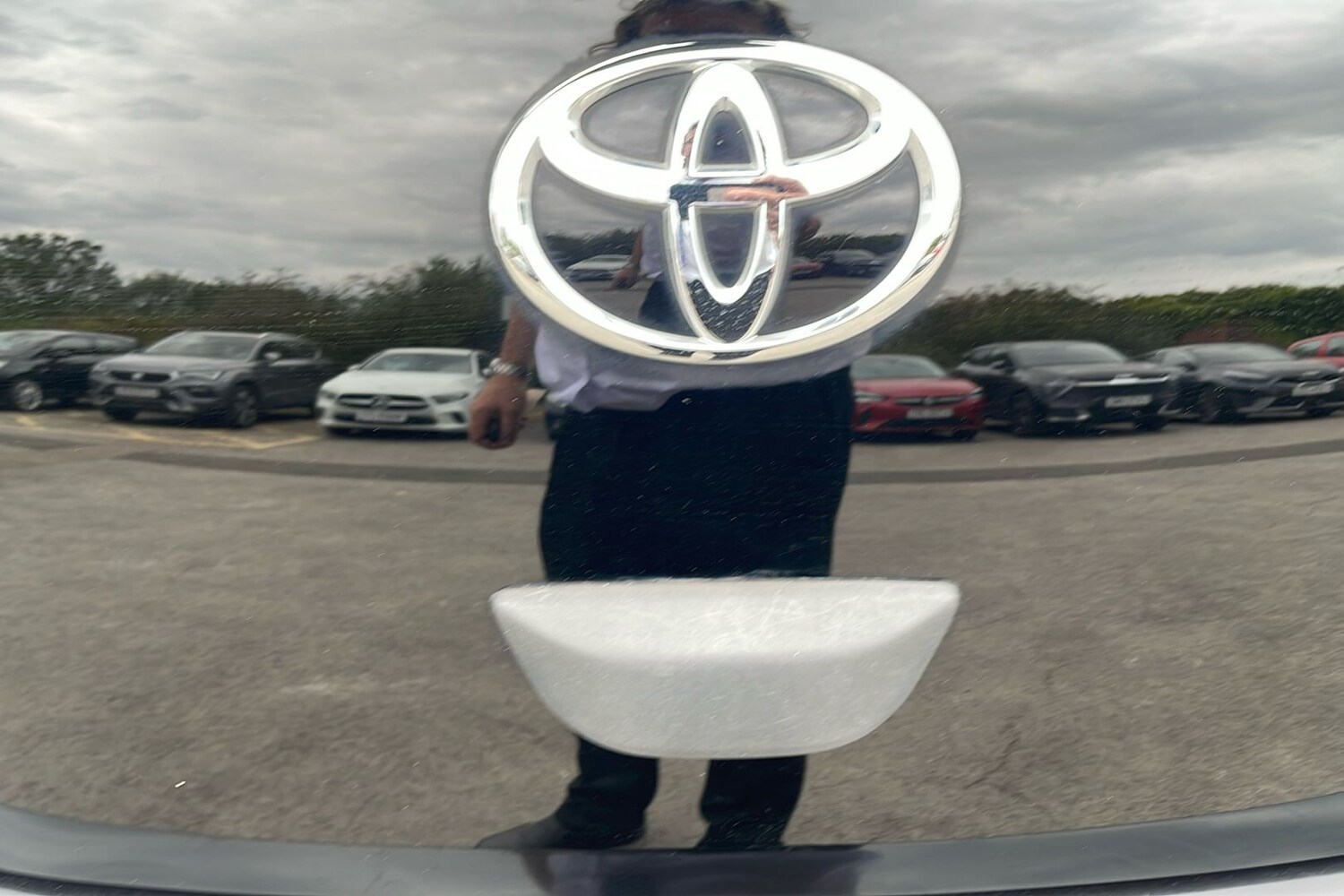 Vehicle 31