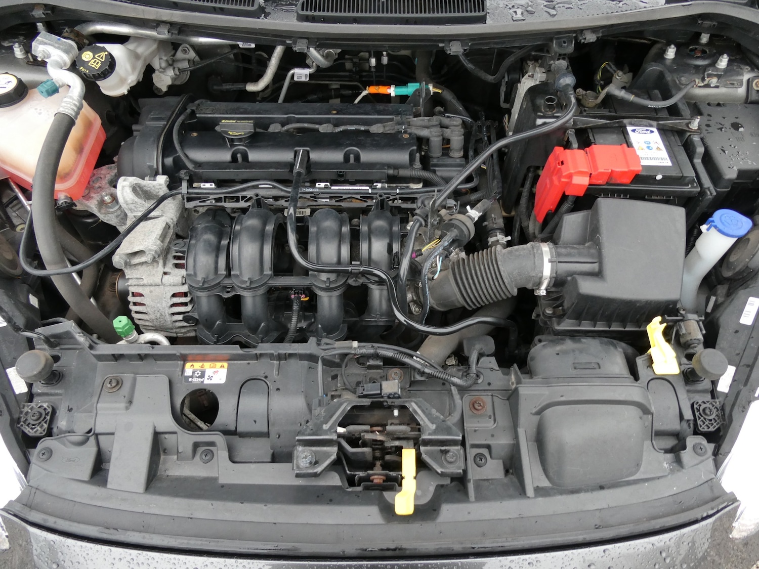 Used Ford Fiesta 2017 for sale - 76554348: Photo 23