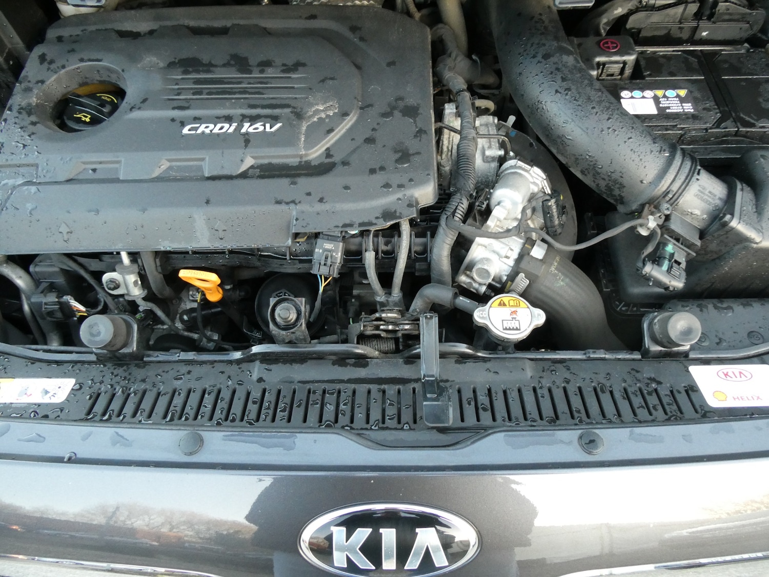 Used Kia Venga 2017 for sale - 77224882: Photo 23