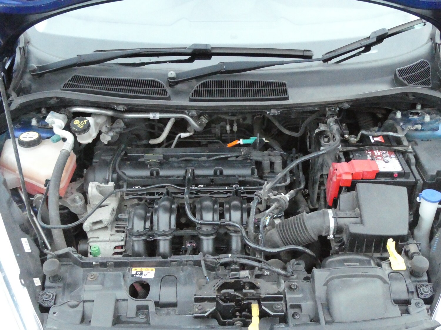 Used Ford Fiesta 2017 for sale - 77505537: Photo 23