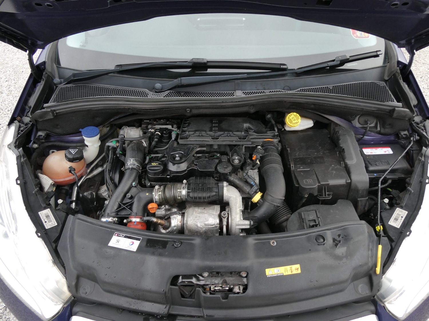 Used Peugeot 208 2015 for sale - 77778748: Photo 22