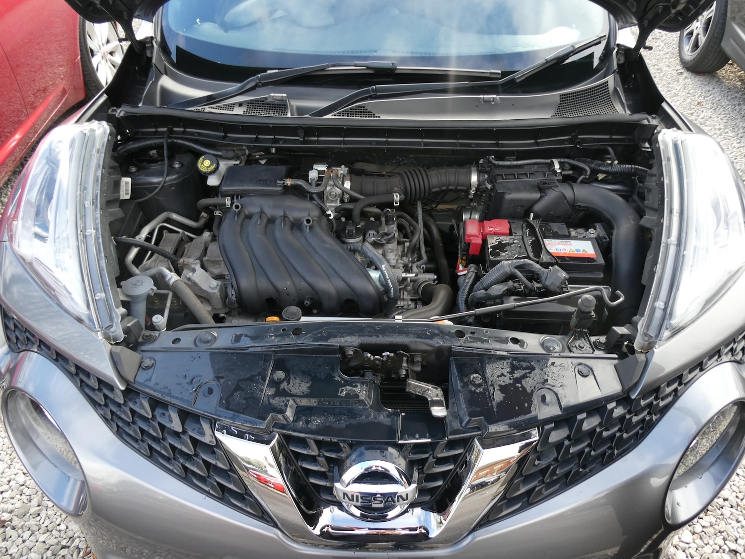 Used Nissan Juke 2019 for sale - 77432692: Photo 23