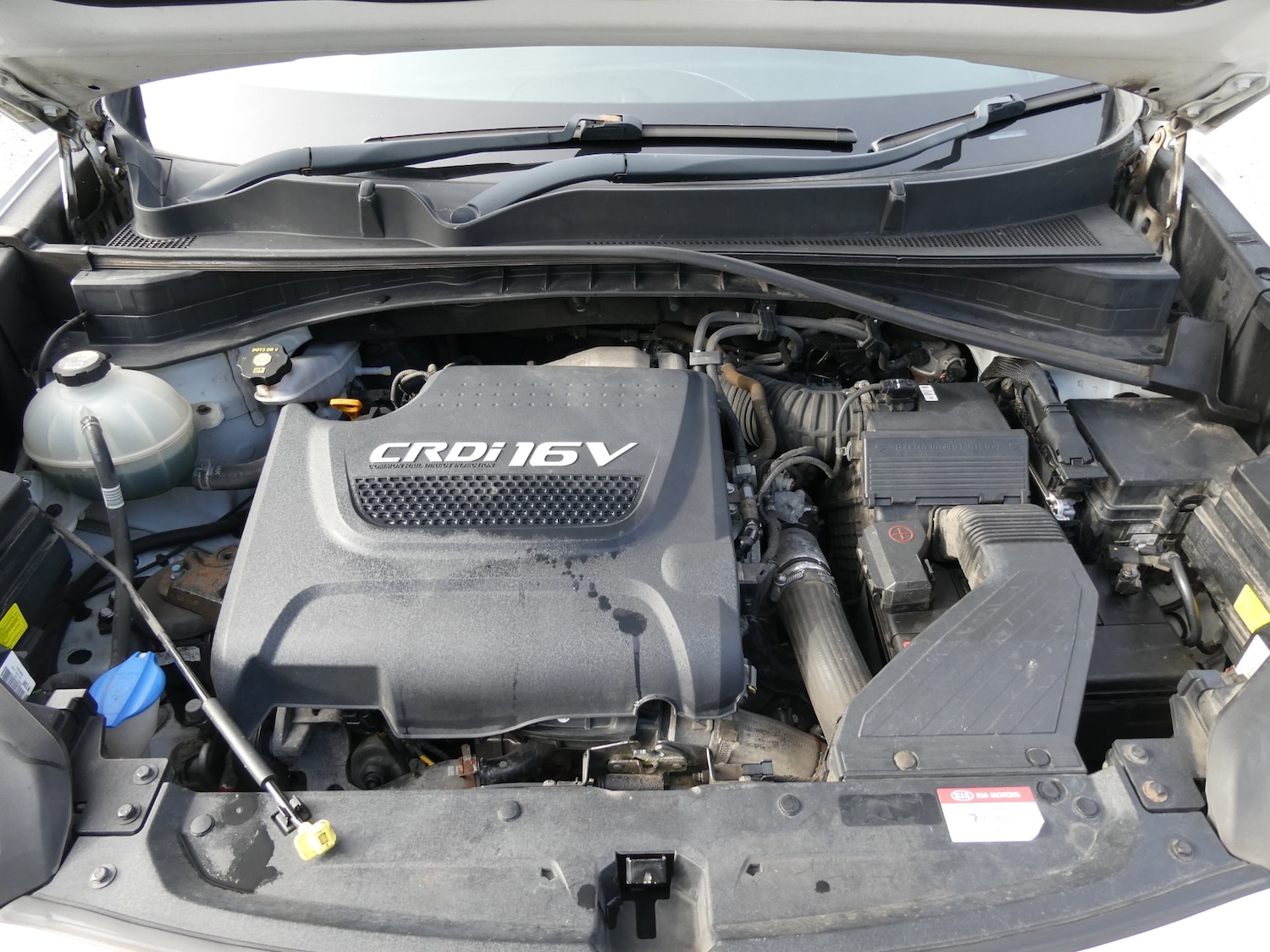 Used Kia Sportage 2017 for sale - 76182254: Photo 24