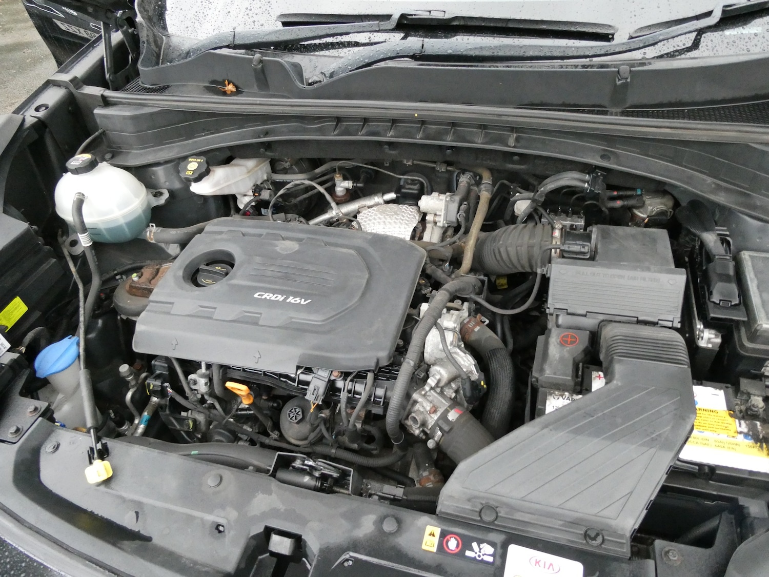 Used Kia Sportage 2016 for sale - 76615710: Photo 25