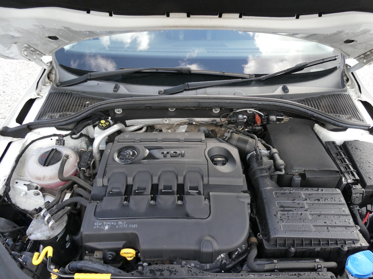 Used Skoda Octavia 2016 for sale - 78040591: Photo 22