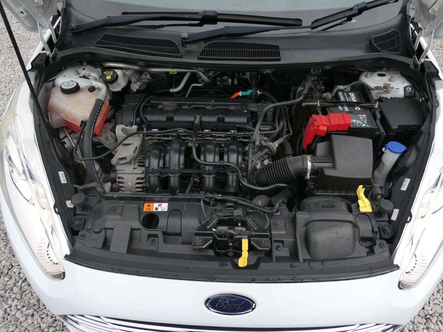 Used Ford Fiesta 2014 for sale - 77502754: Photo 24