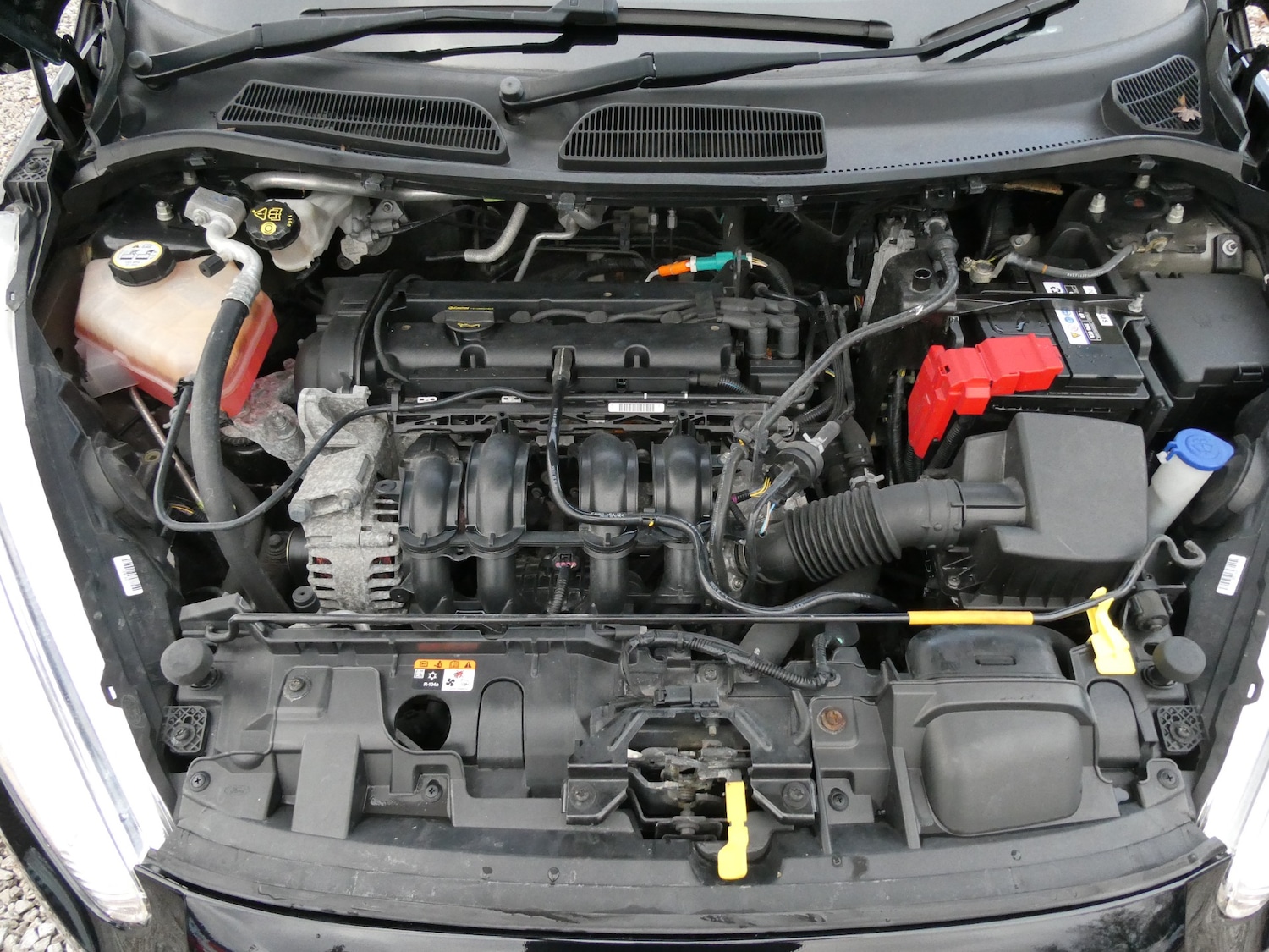 Used Ford Fiesta 2016 for sale - 76684435: Photo 23