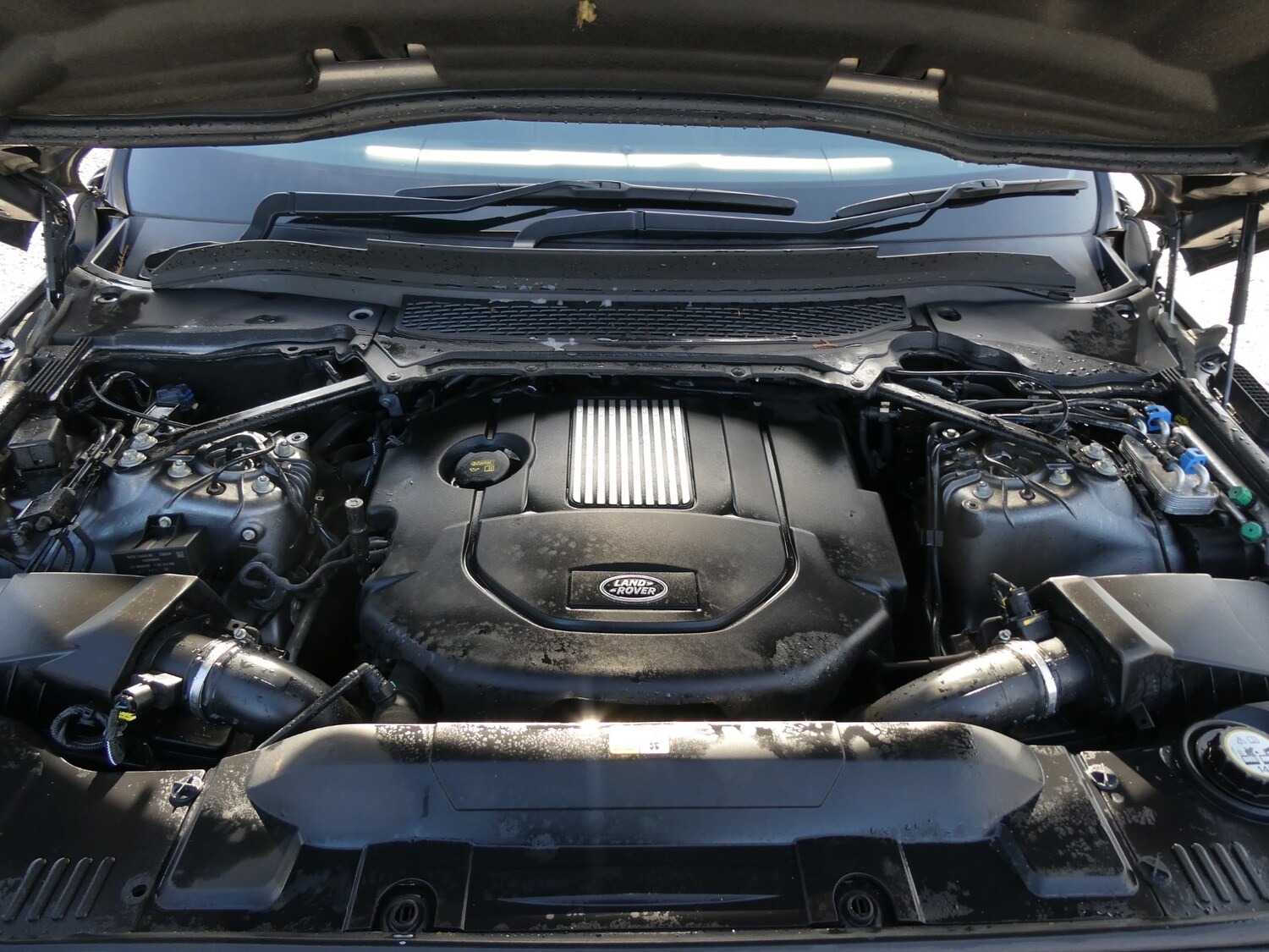 Used Land Rover Range Rover Sport 2015 for sale - 77555679: Photo 22