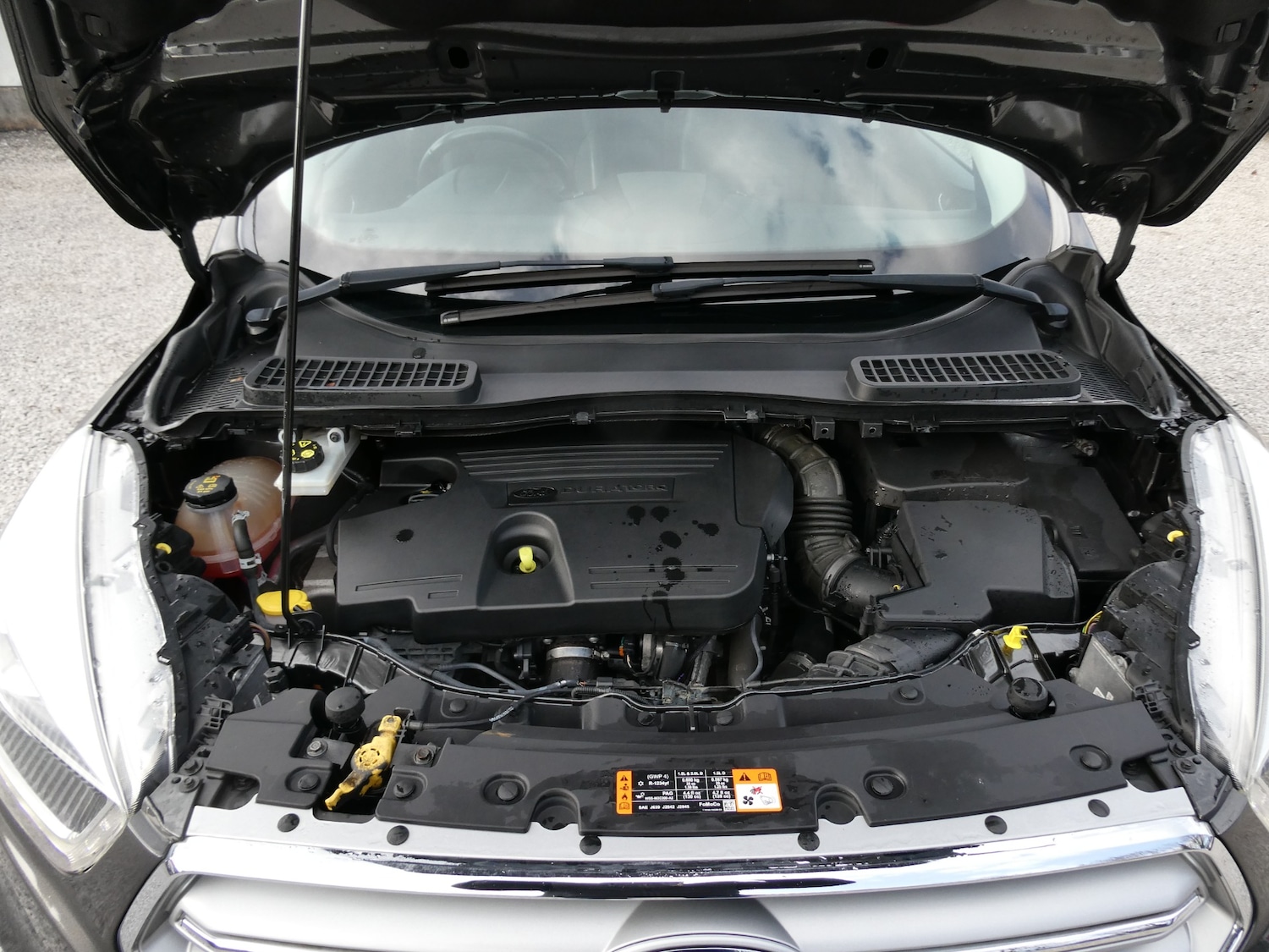 Used Ford Kuga 2017 for sale - 77774541: Photo 23