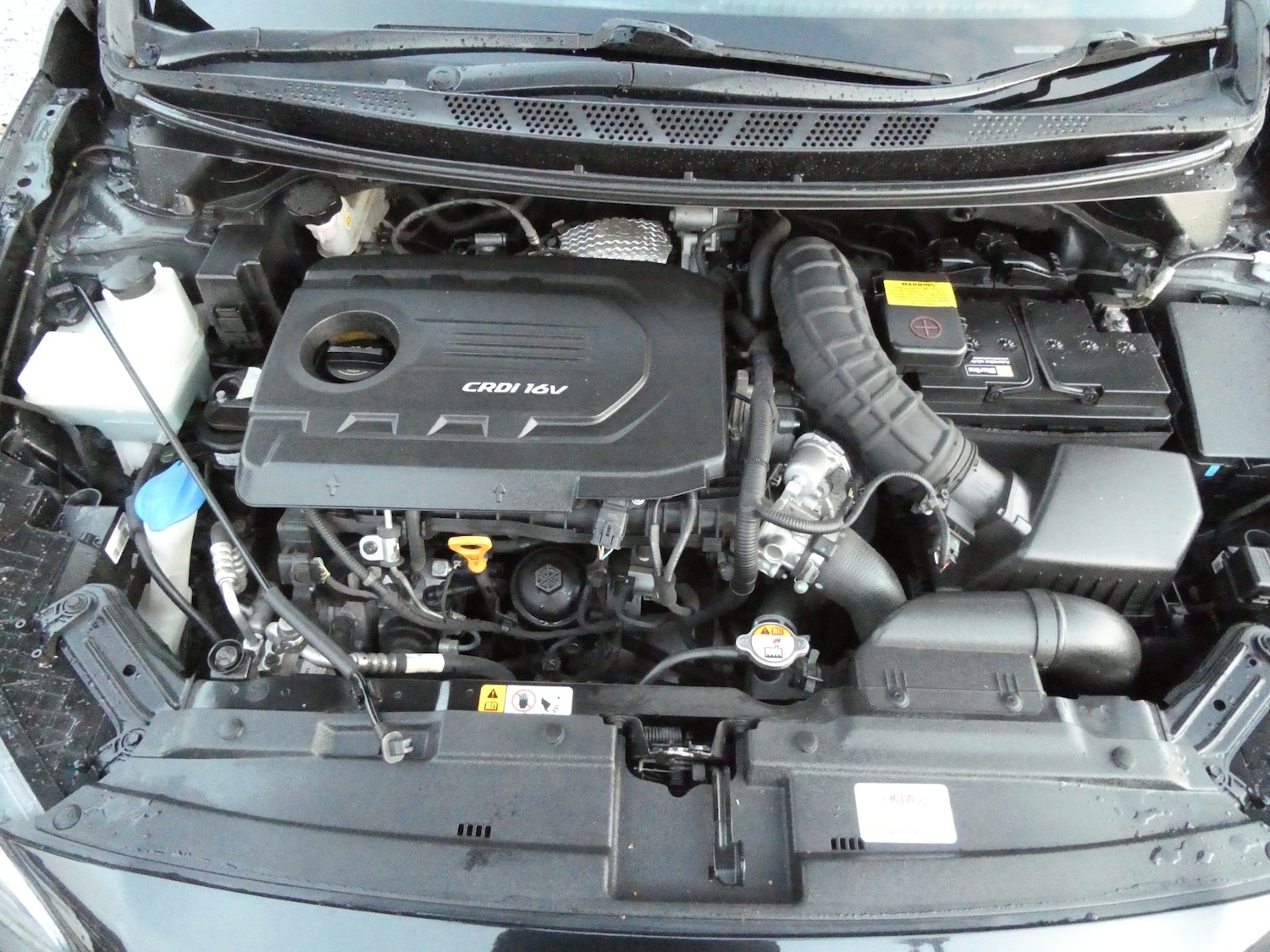 Used Kia Ceed 2016 for sale - 76797202: Photo 23