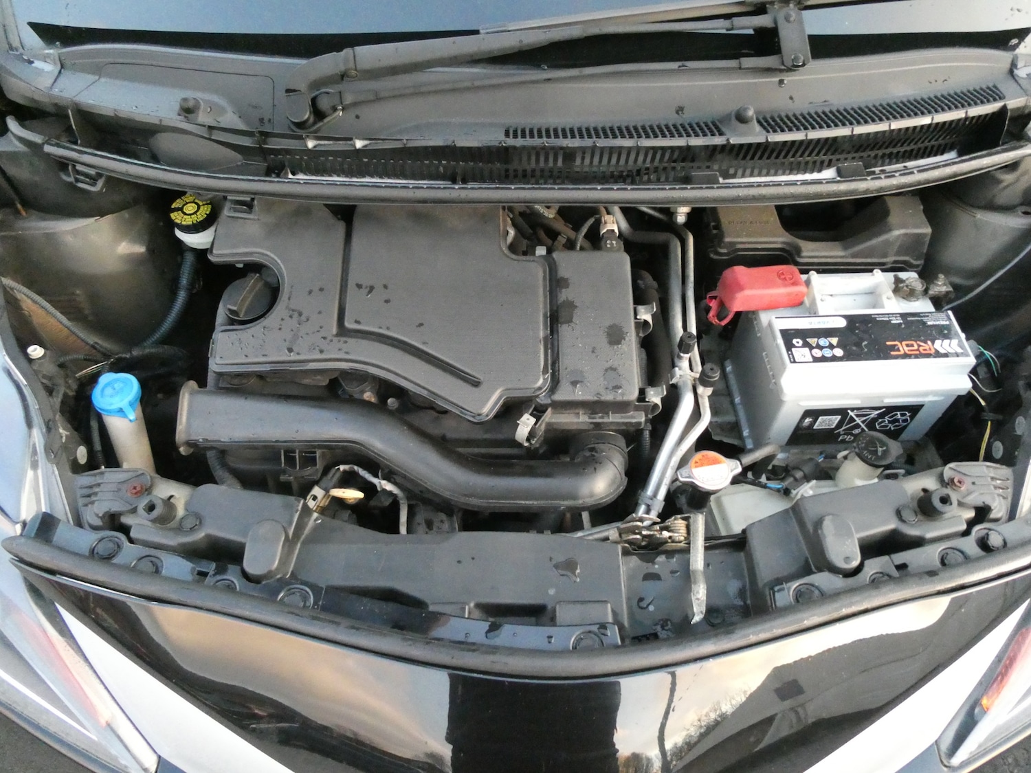 Used Toyota AYGO 2016 for sale - 77340263: Photo 24