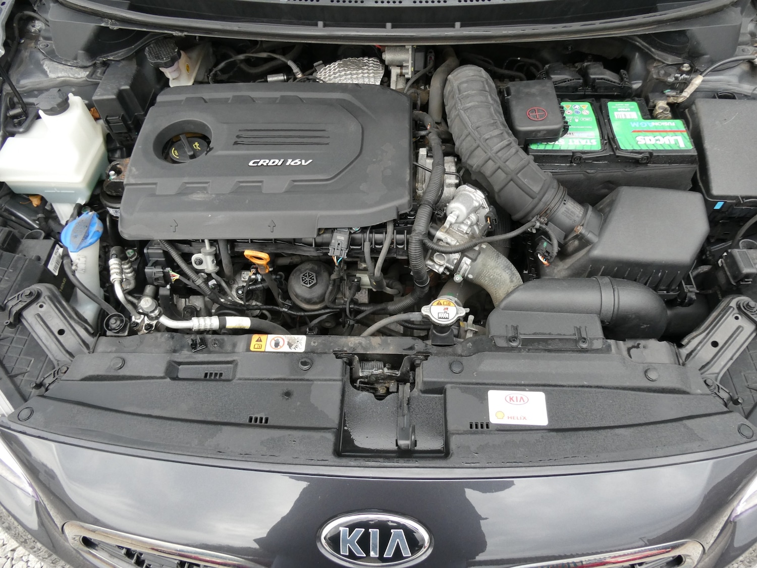 Used Kia Ceed 2017 for sale - 76479524: Photo 23