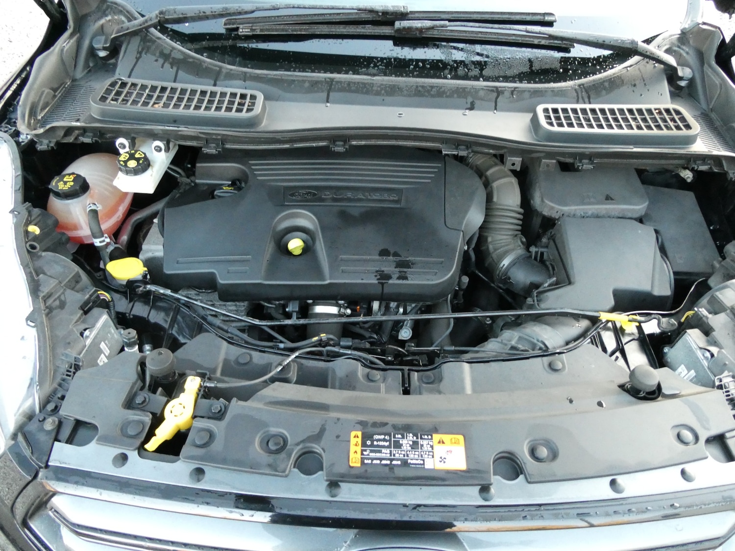 Used Ford Kuga 2018 for sale - 76794741: Photo 23