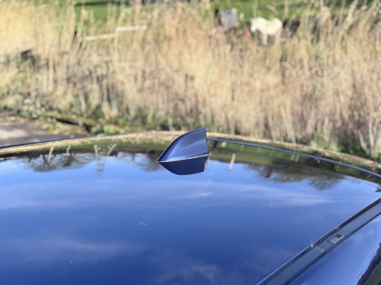 Used Mazda CX-5 2013 for sale - 77694400: Photo 16