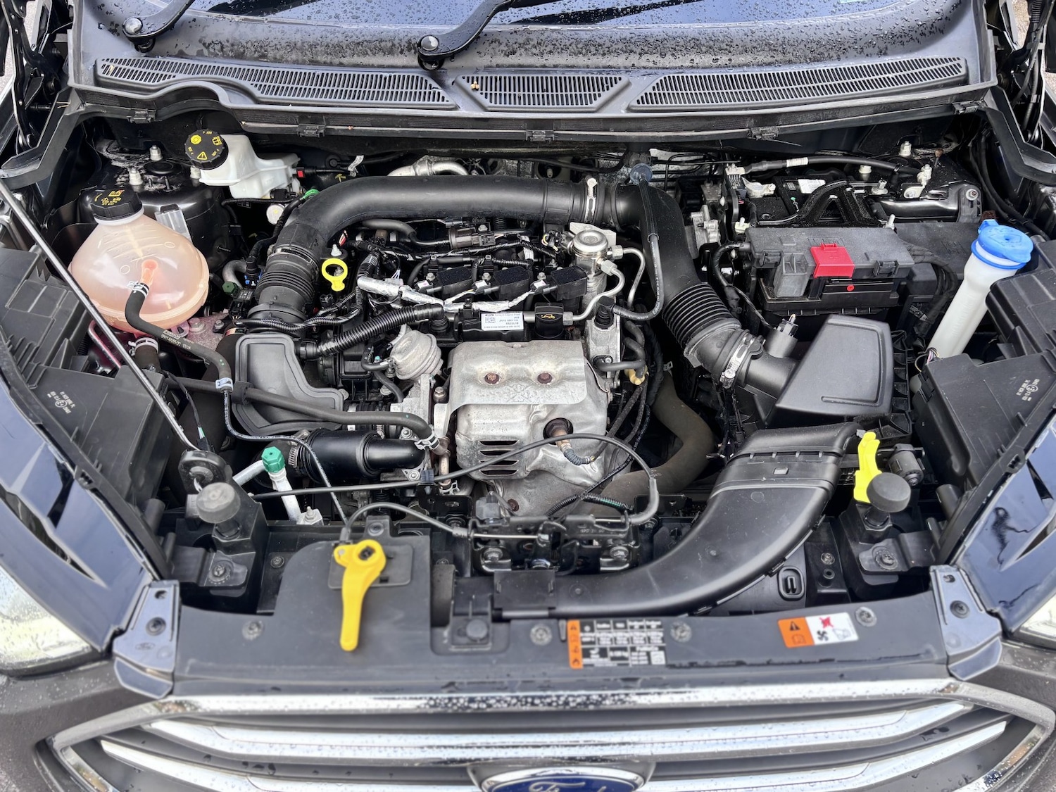 Used Ford Ecosport 2018 for sale - 77983721: Photo 53