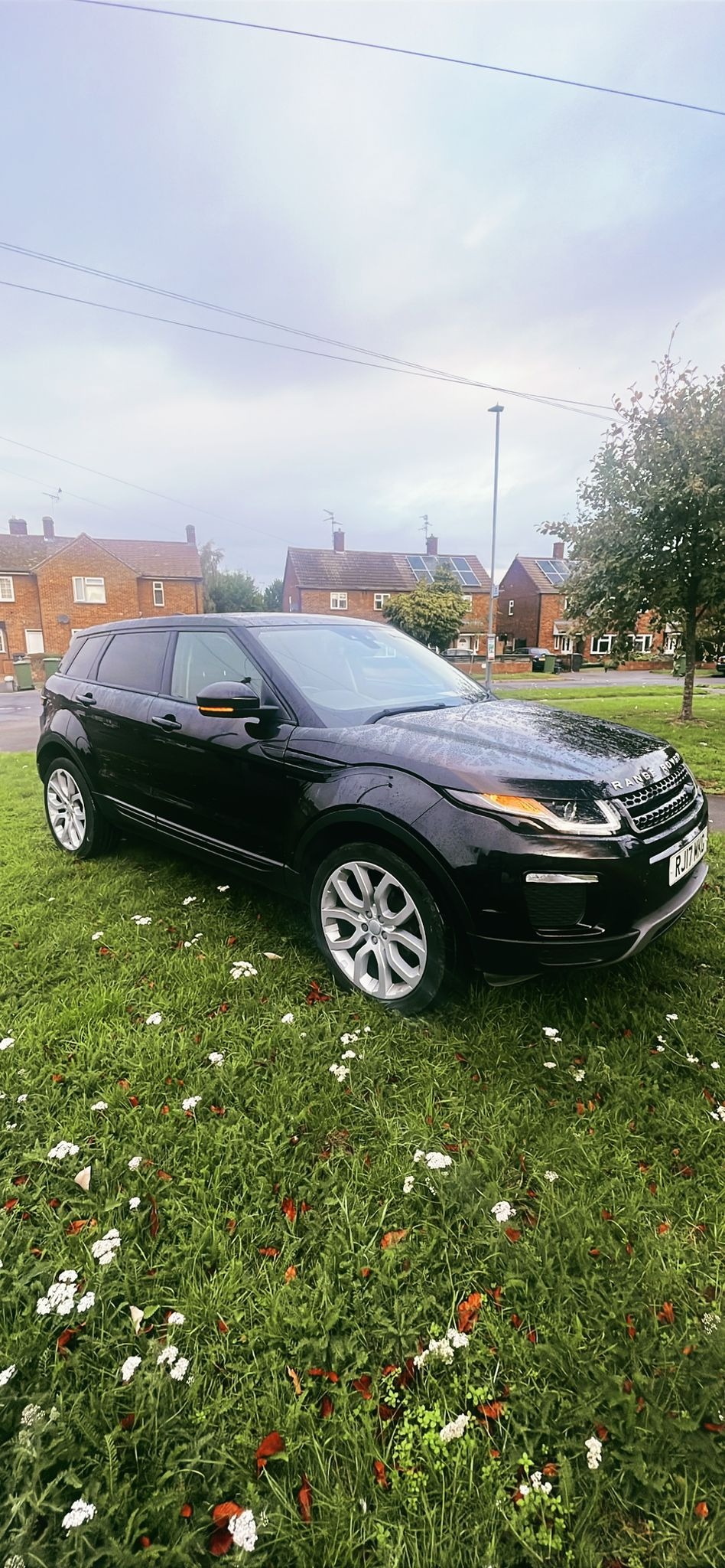 Used Land Rover Range Rover Evoque 2017 for sale - 76206000: Photo 5