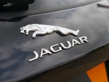 Used Jaguar F-Pace 2019 for sale - 74899603: Photo