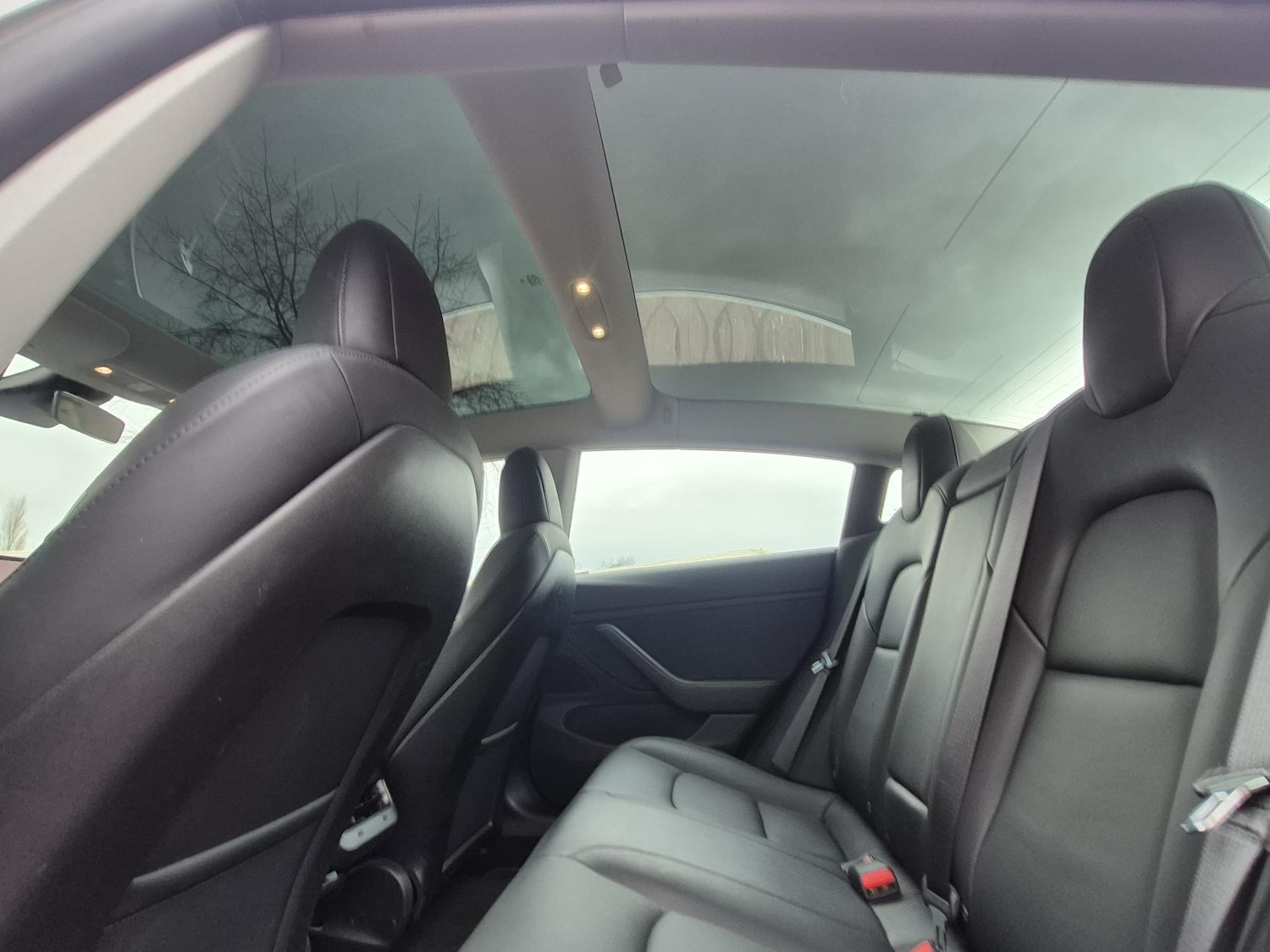 Used Tesla Model 3 2019 for sale - 77235613: Photo 15