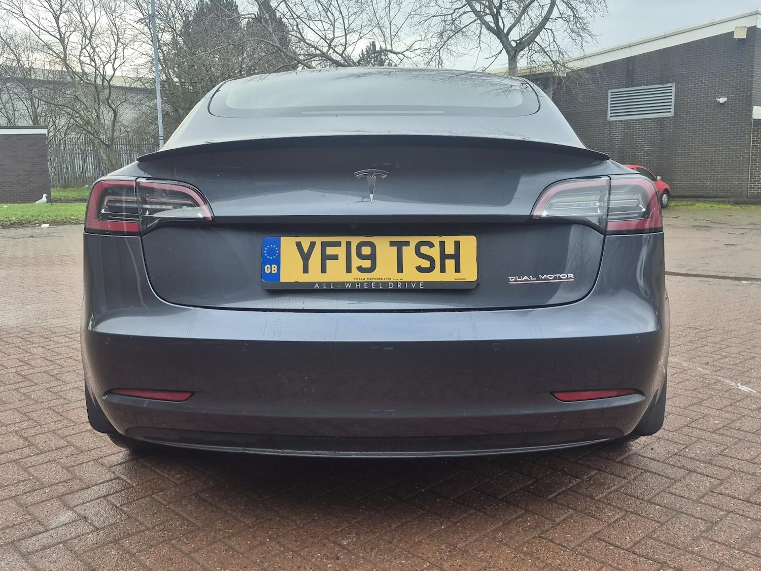 Used Tesla Model 3 2019 for sale - 77235613: Photo 6