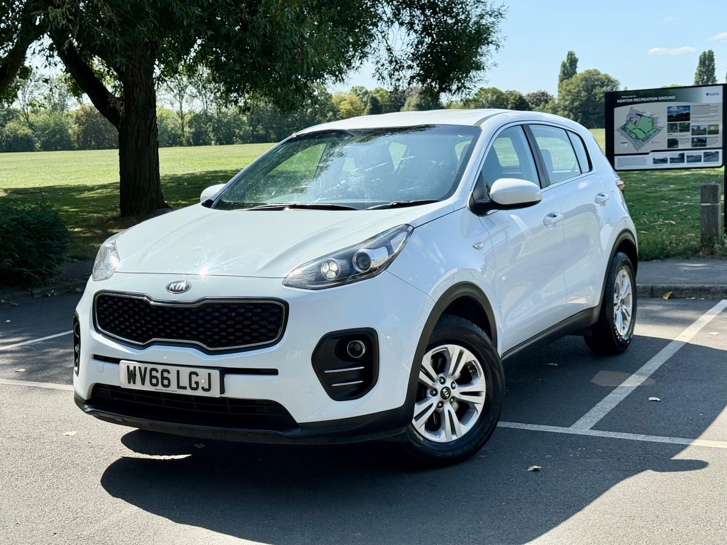 Used Kia Sportage 2016 for sale - 76743300: Photo 1