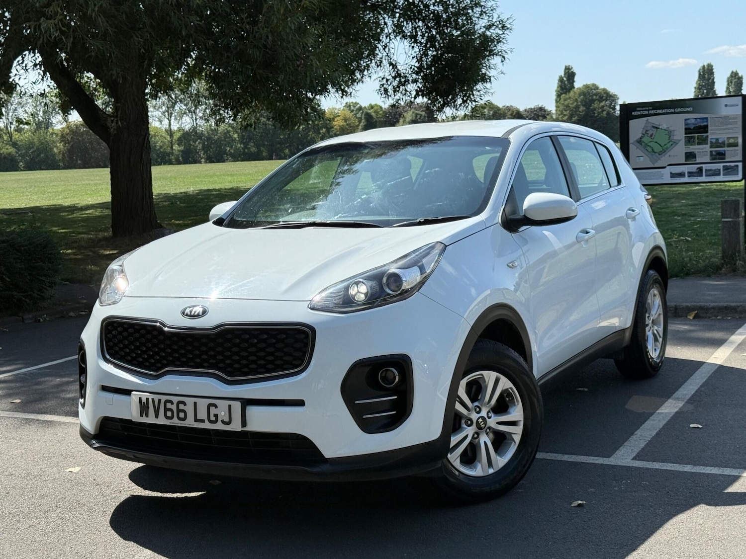Used Kia Sportage 2016 for sale - 76743300: Photo 16