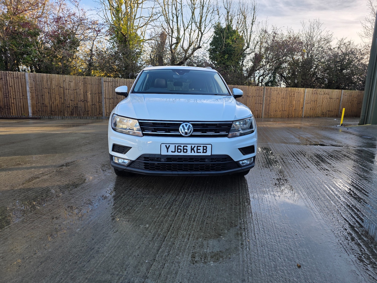 Used Volkswagen Tiguan 2017 for sale - 77287360: Photo 7