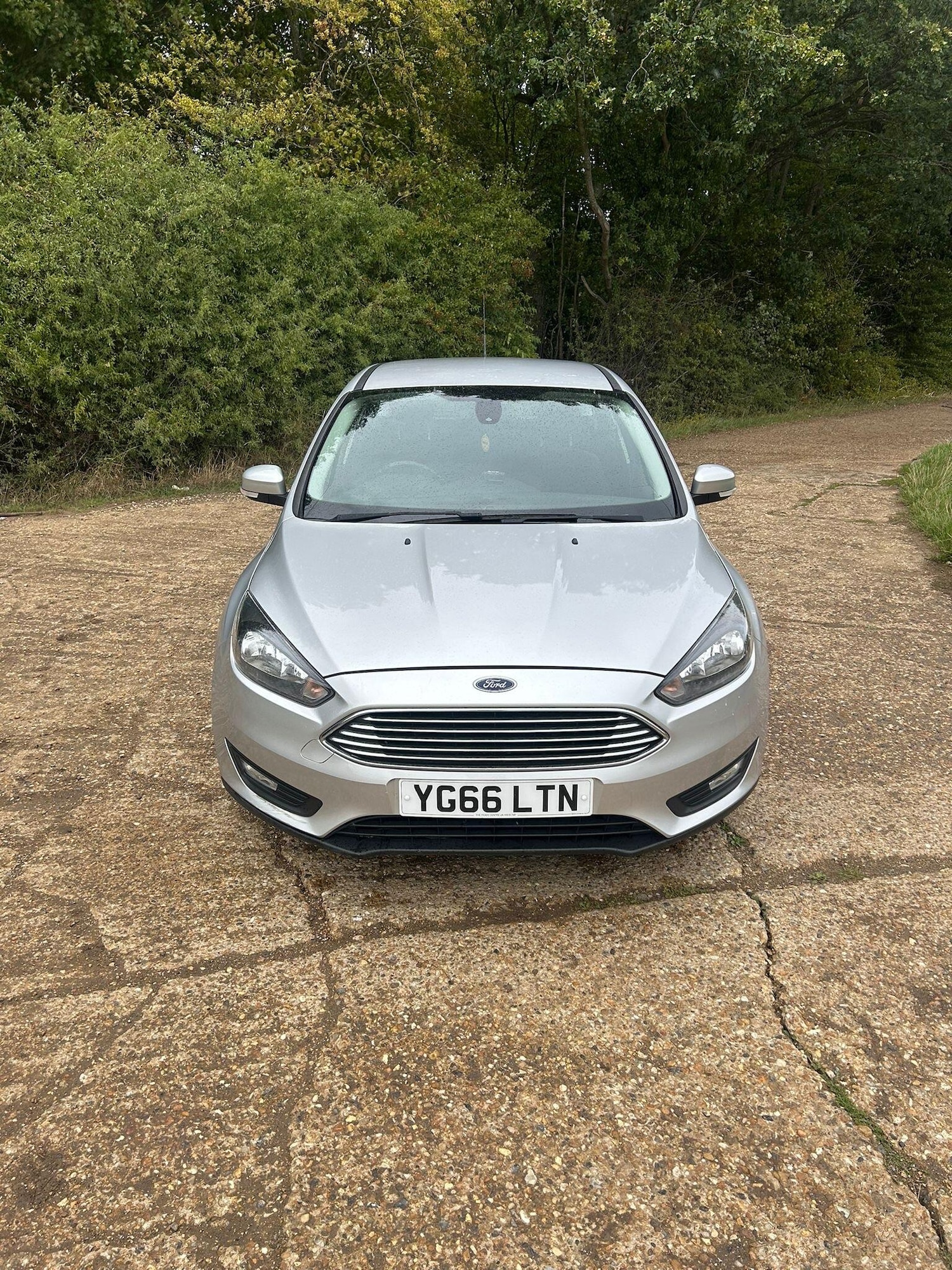 Used Ford Focus 2016 for sale - 76042911: Photo 2