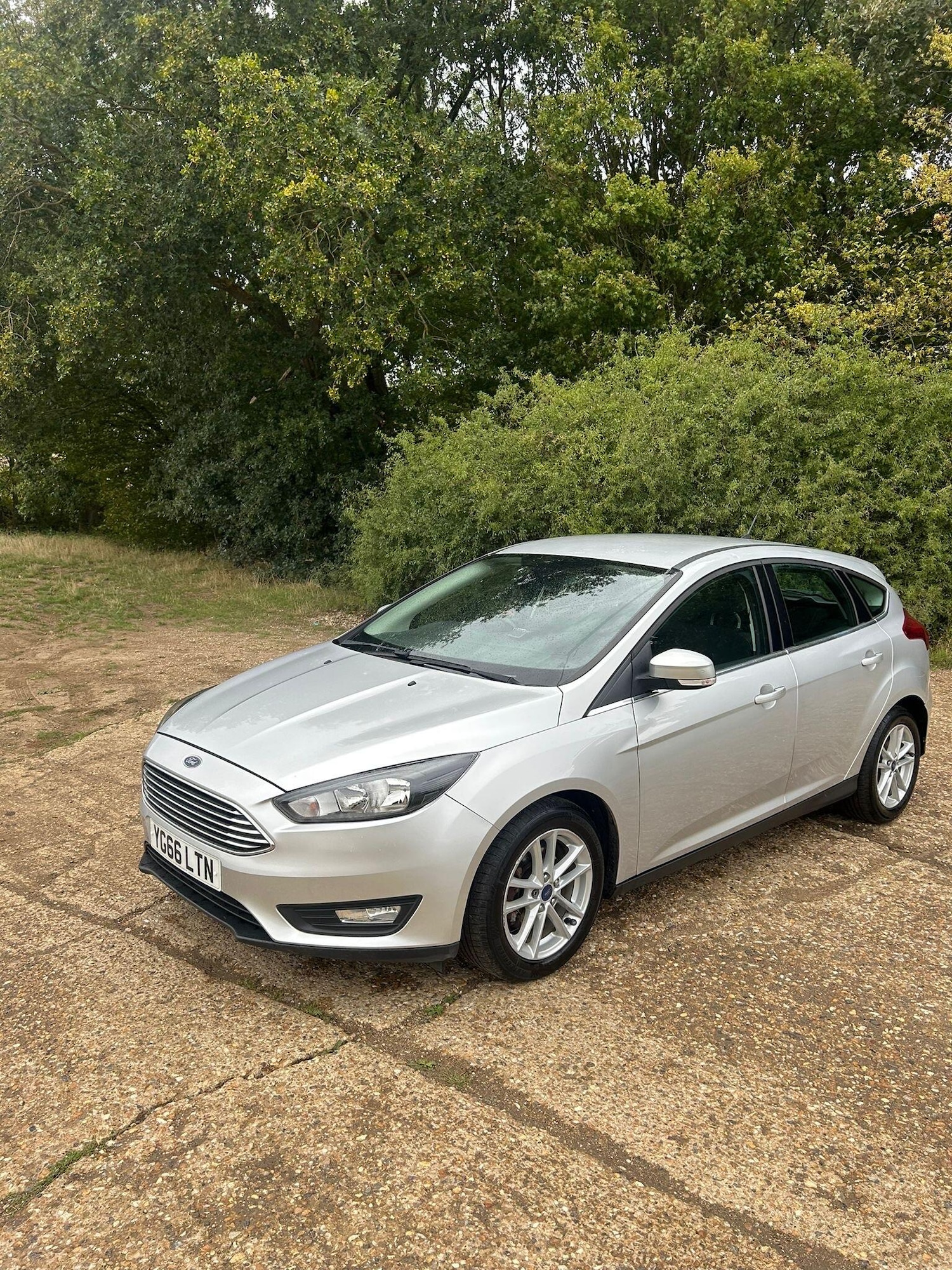 Used Ford Focus 2016 for sale - 76042911: Photo 3
