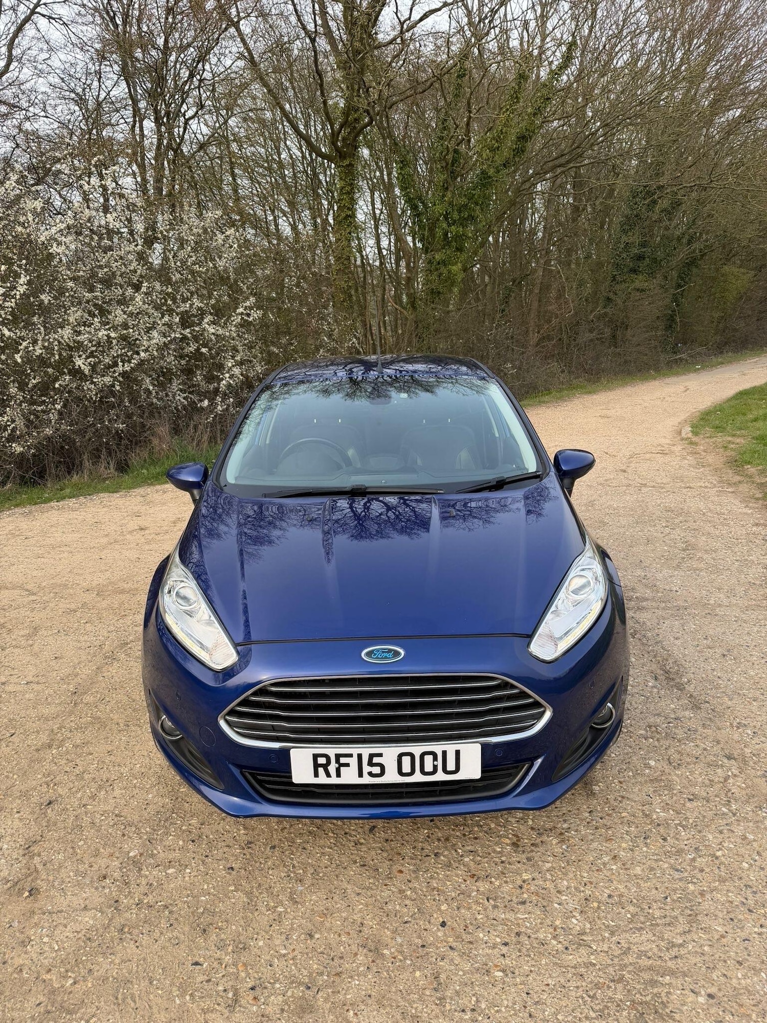 Used Ford Fiesta 2015 for sale - 78062792: Photo 2