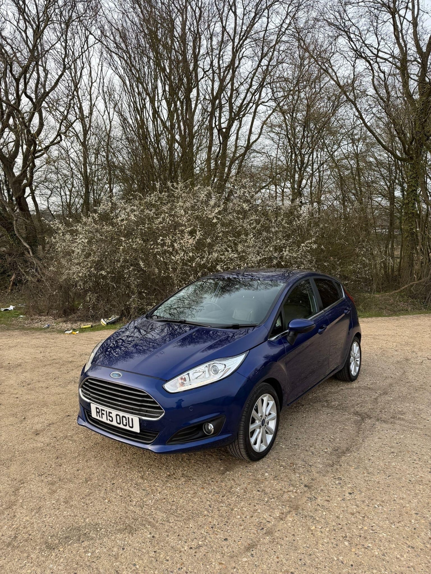 Used Ford Fiesta 2015 for sale - 78062792: Photo 3