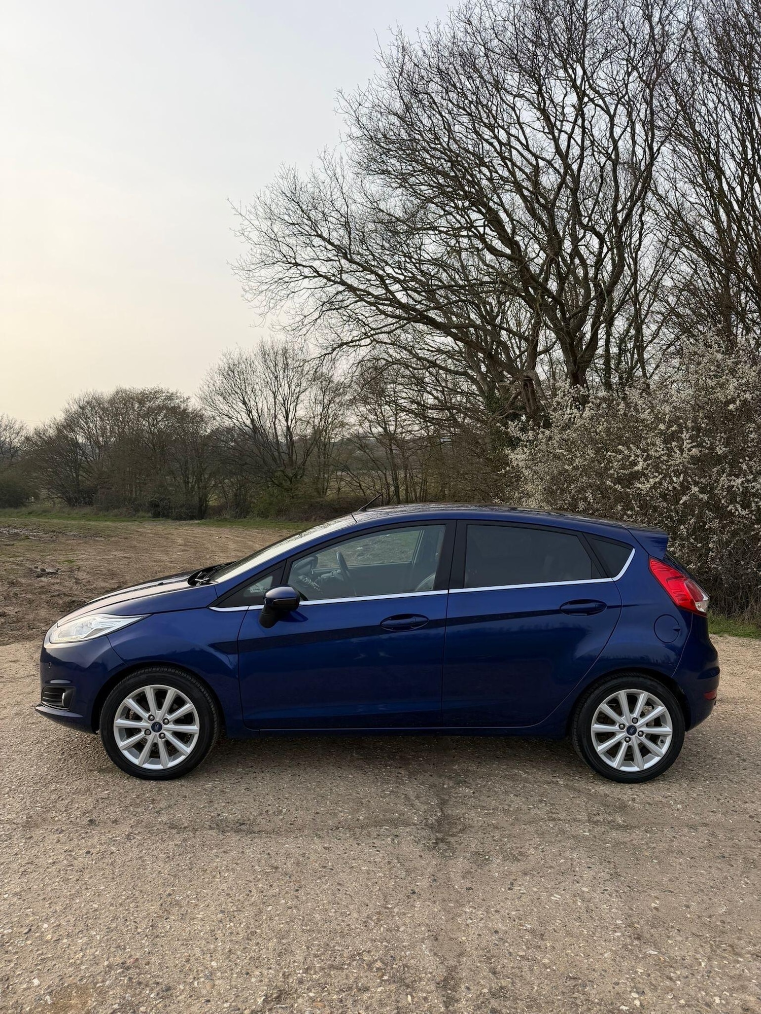 Used Ford Fiesta 2015 for sale - 78062792: Photo 8