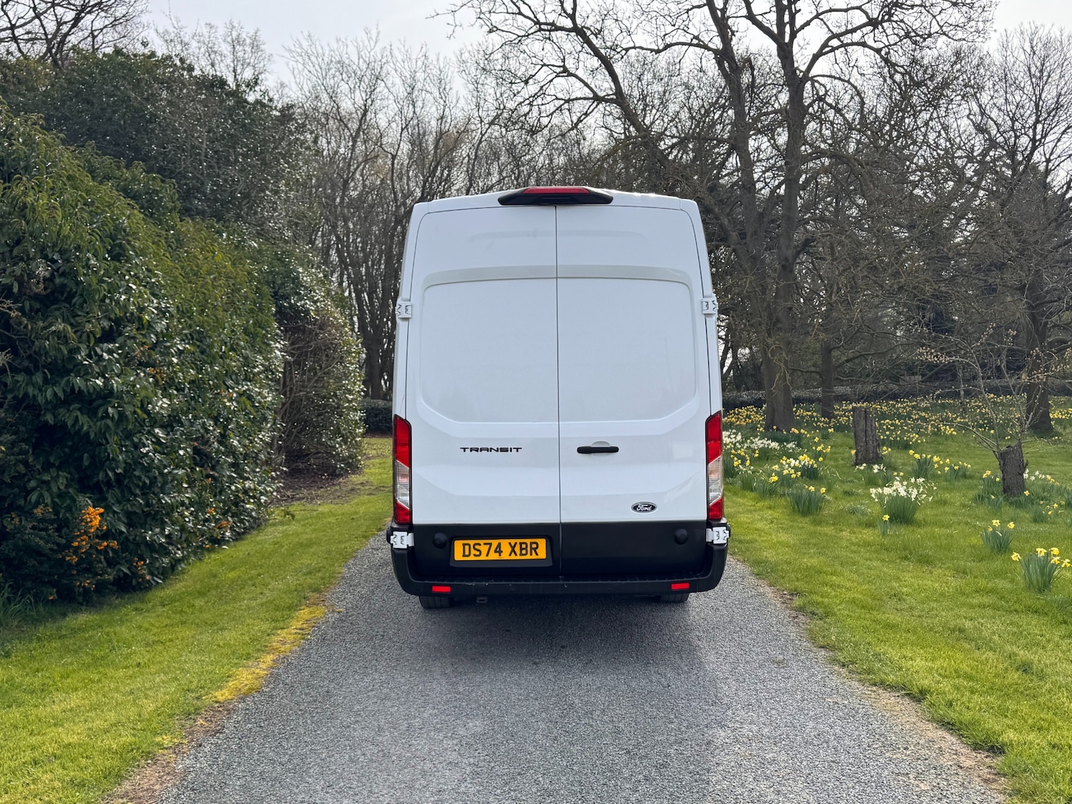 Used Ford Transit 2024 for sale - 77962491: Photo 7