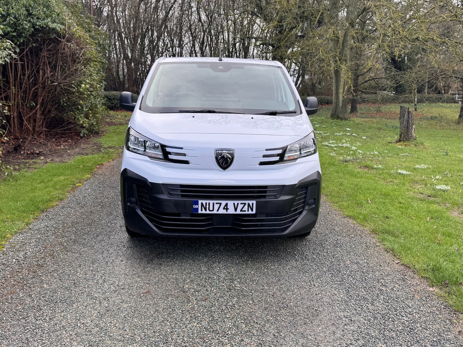 Used Peugeot Expert 2024 for sale - 77494528: Photo 2