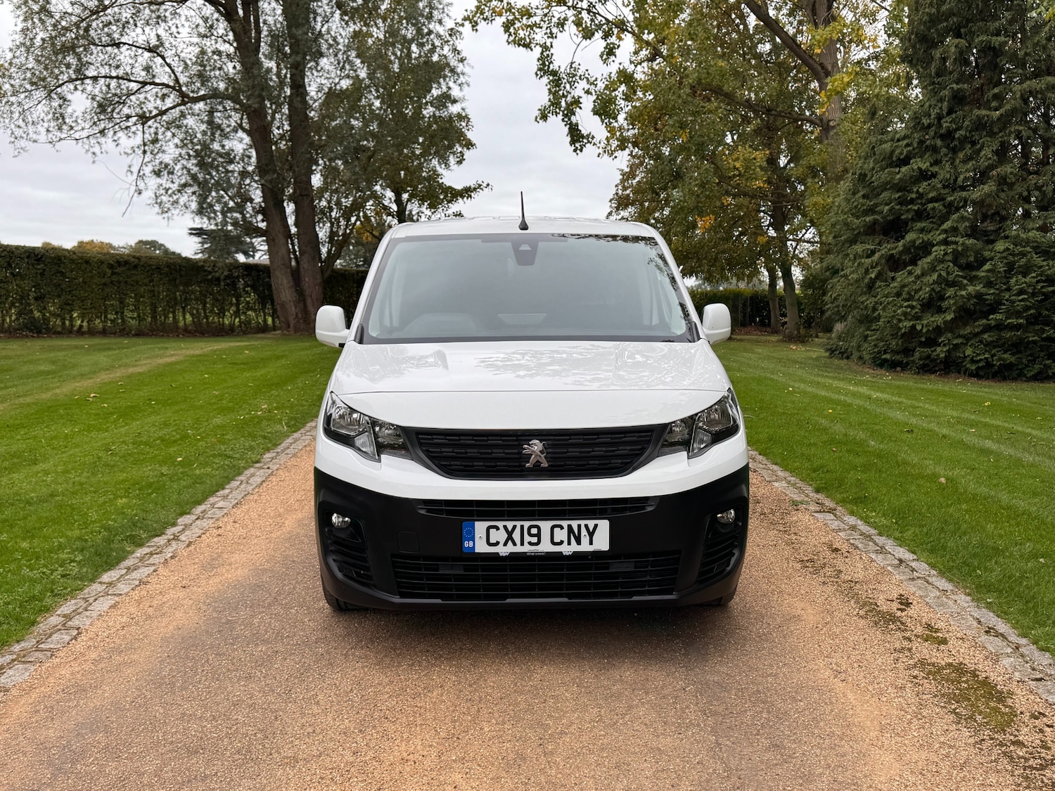 Used Peugeot Partner 2019 for sale - 76317469: Photo 2