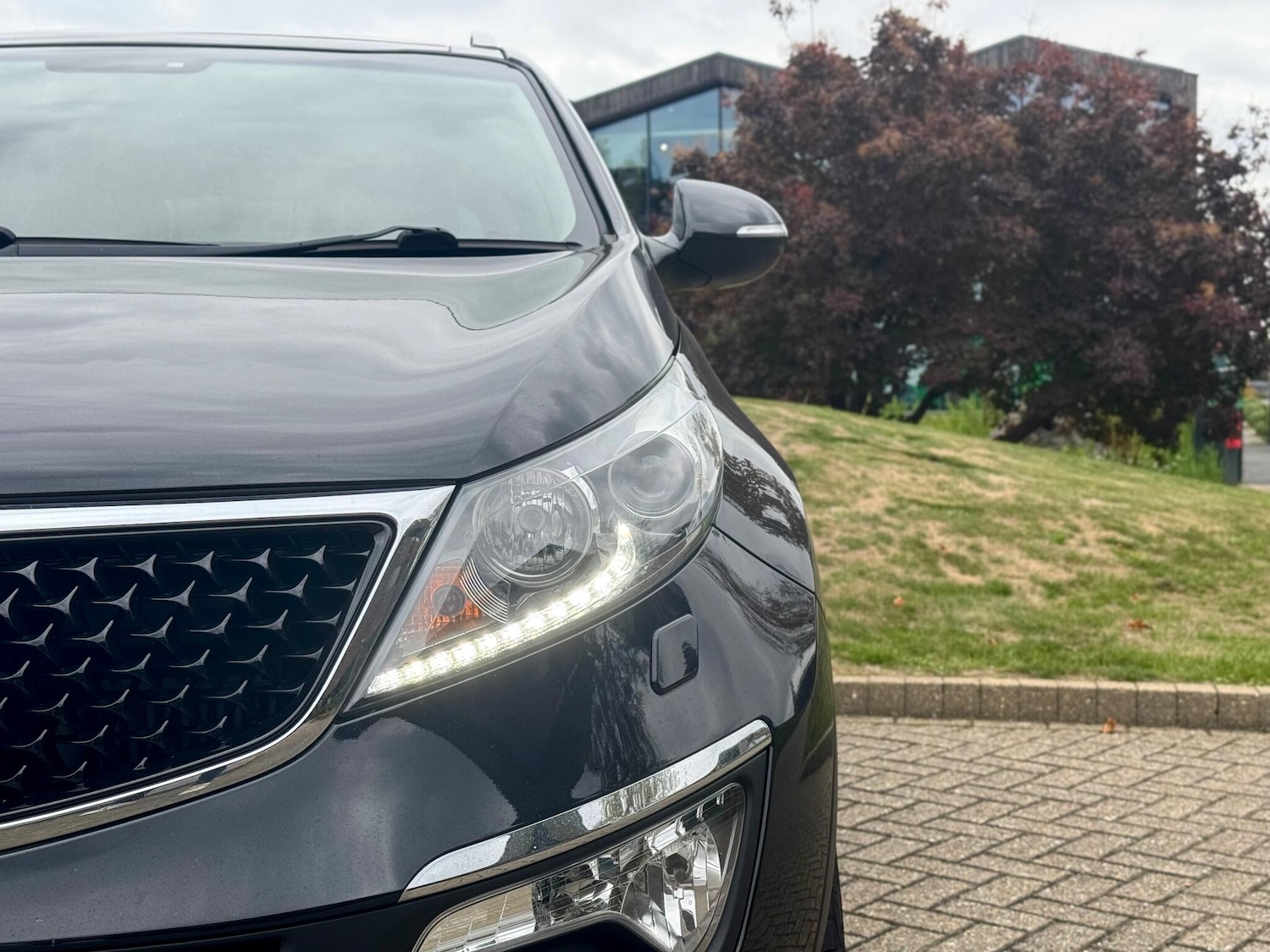 Used Kia Sportage 2016 for sale - 76377420: Photo 41