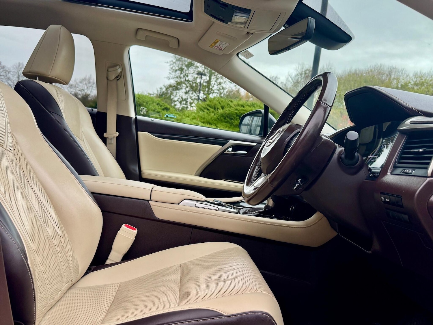 Used Lexus RX 2017 for sale - 76472525: Photo 19