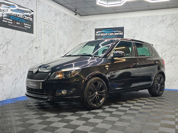 Used Skoda Fabia 2013 for sale - 76316672: Photo 13