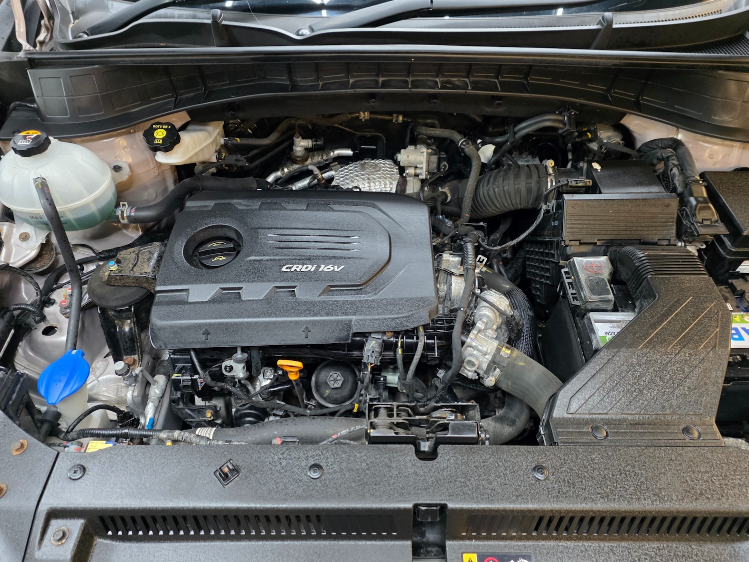 Used Hyundai TUCSON 2016 for sale - 77890458: Photo 23