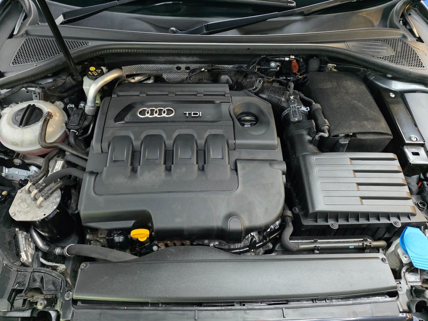 Used Audi A3 2016 for sale - 77334165: Photo 21