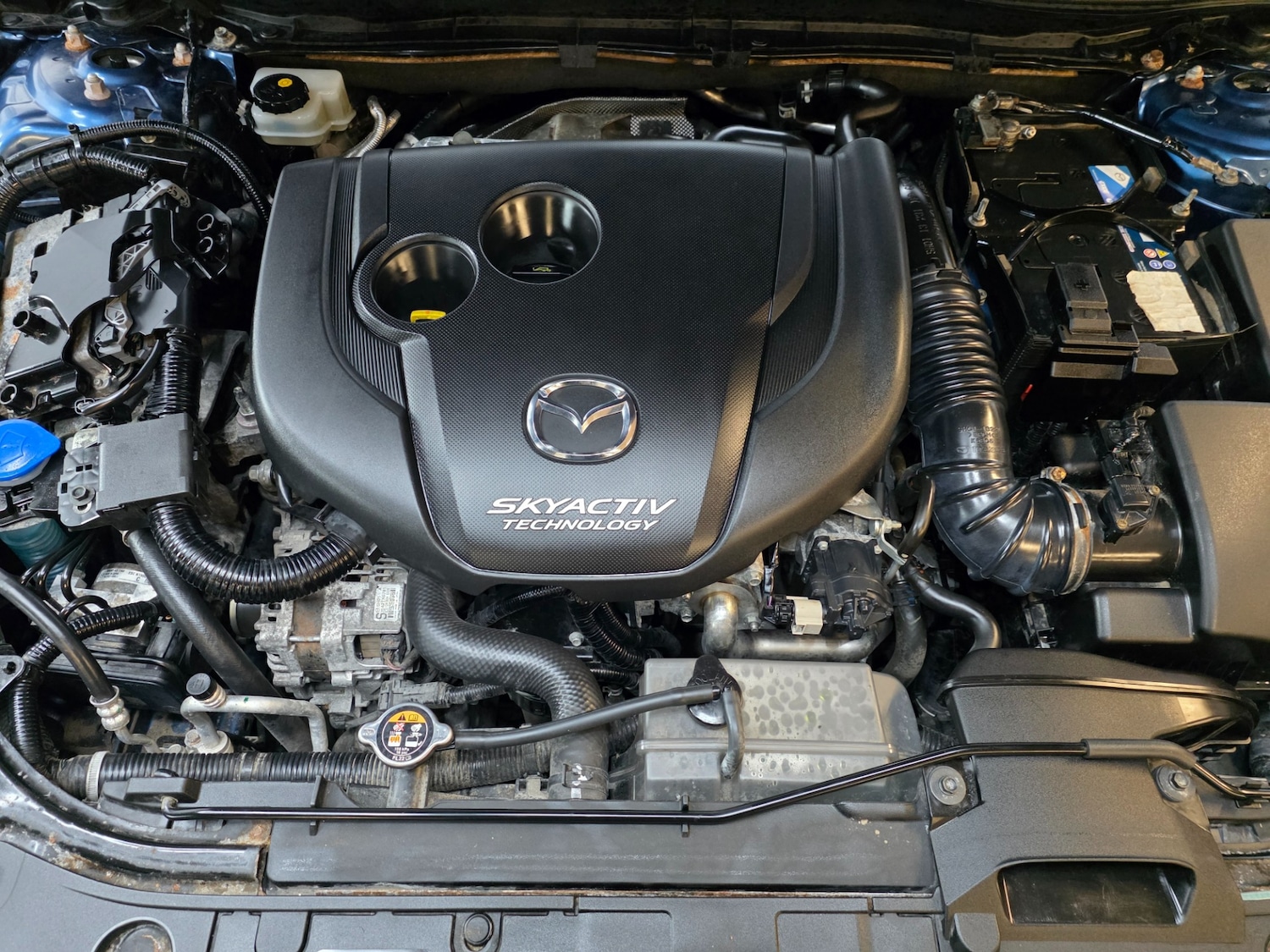 Used Mazda Mazda3 2017 for sale - 77482305: Photo 25