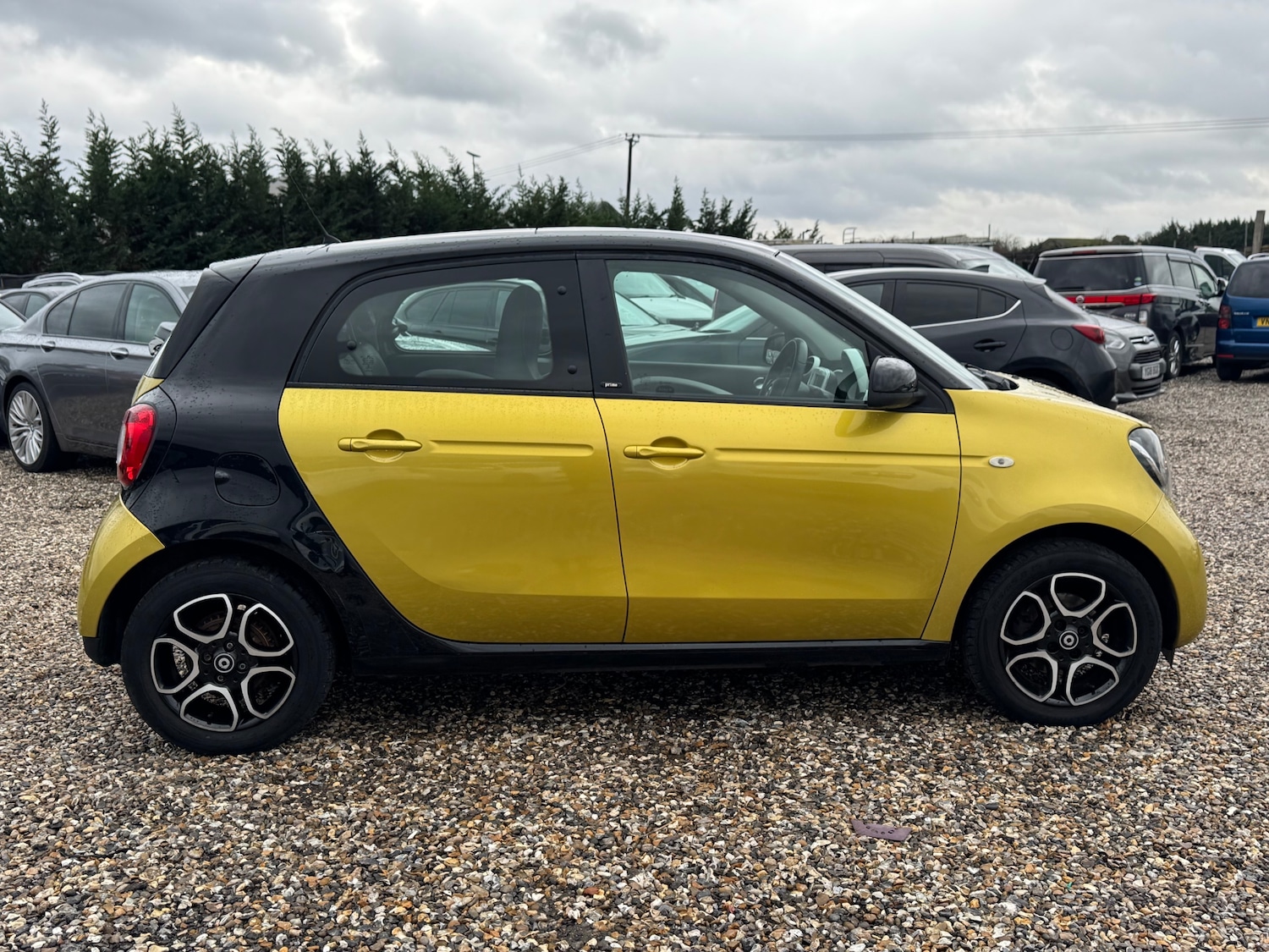 Used smart forfour 2015 for sale - 77162472: Photo 12