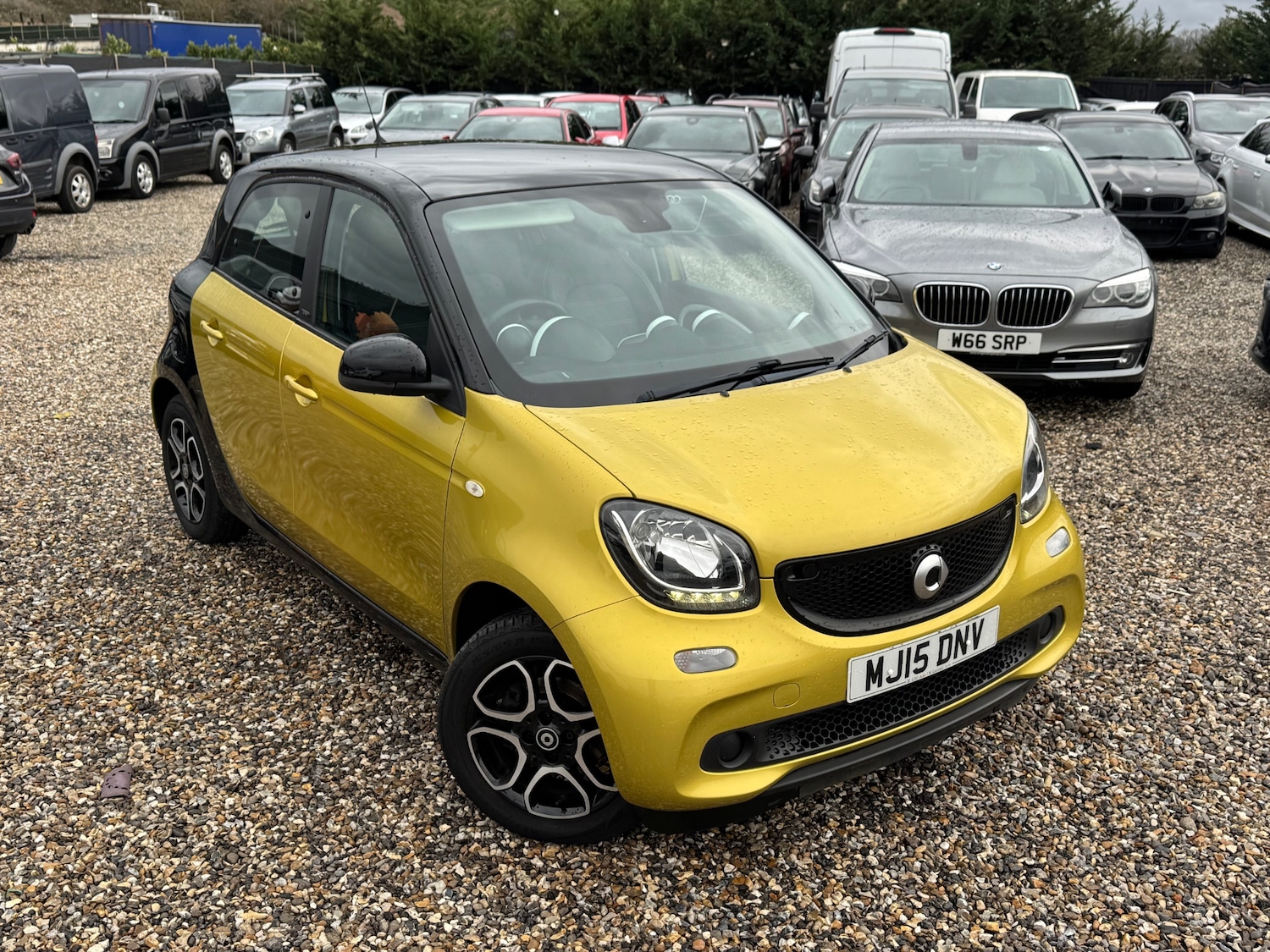 Used smart forfour 2015 for sale - 77162472: Photo 2