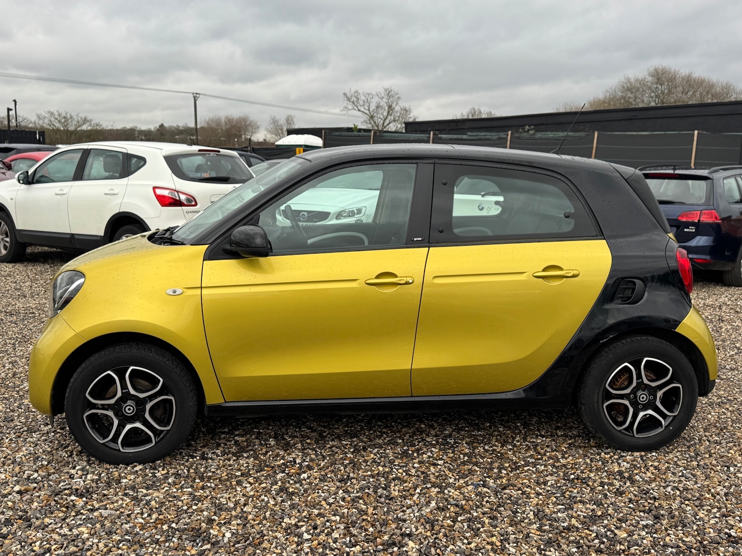 Used smart forfour 2015 for sale - 77162472: Photo 6