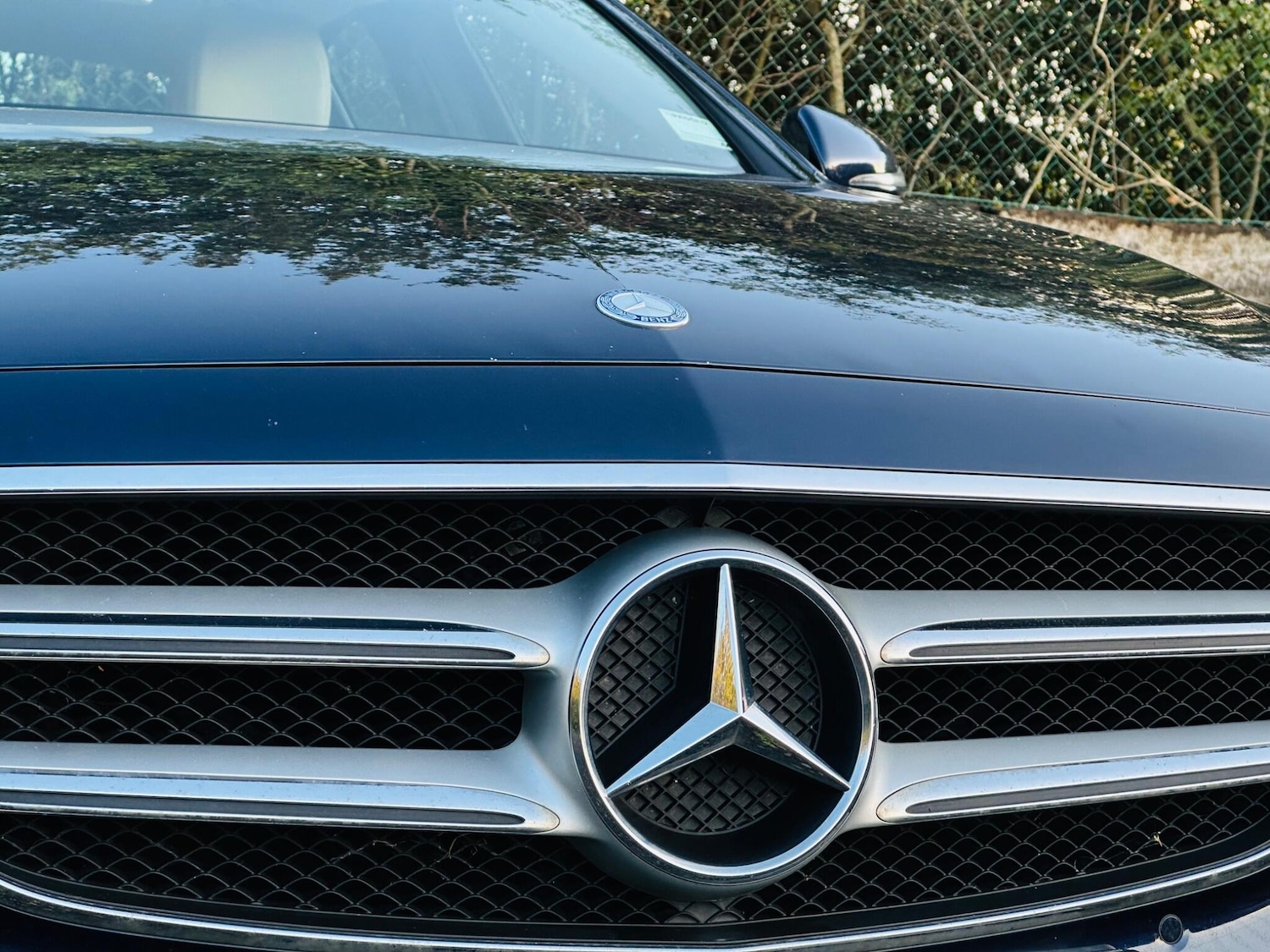 Used Mercedes-Benz E Class 2016 for sale - 76691153: Photo 16